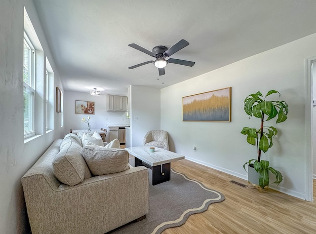1751 Pepper Dr, Tallahassee, FL 32304 - photo 18