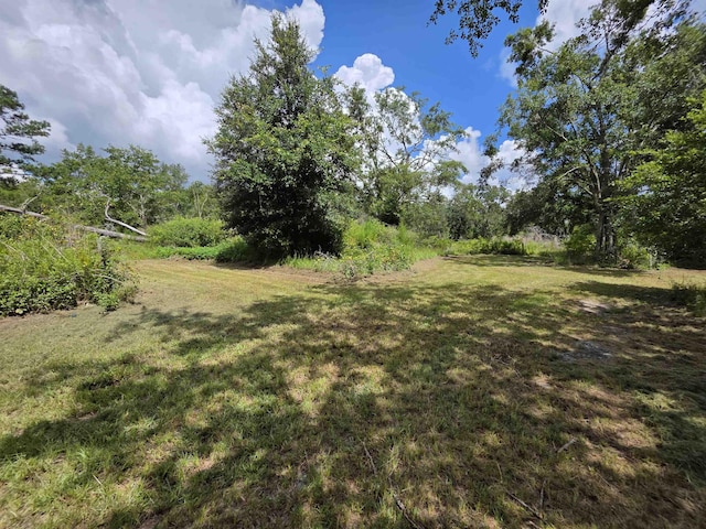 610 SW Okaloo Way, Greenville, FL 32331 - photo 45