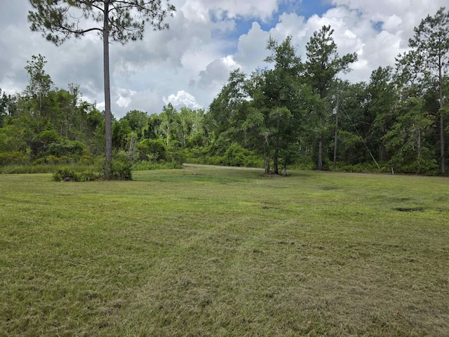 610 SW Okaloo Way, Greenville, FL 32331 - photo 48