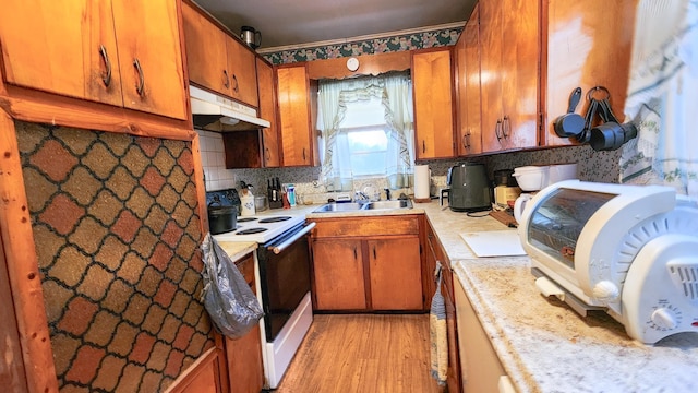 kitchen with light wood-type flooring, backsplash, electric range, and sink