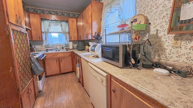 kitchen featuring light wood-type flooring, sink, and white appliances