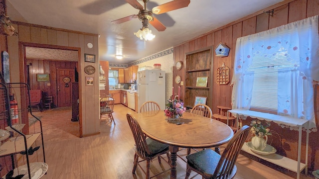 dining space with ceiling fan, light hardwood / wood-style flooring, and wooden walls