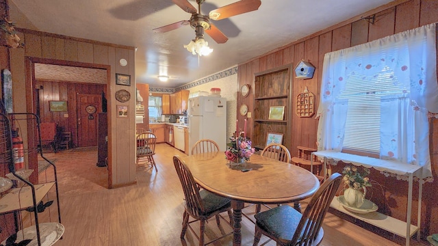 dining area featuring ceiling fan, light wood-type flooring, and wooden walls