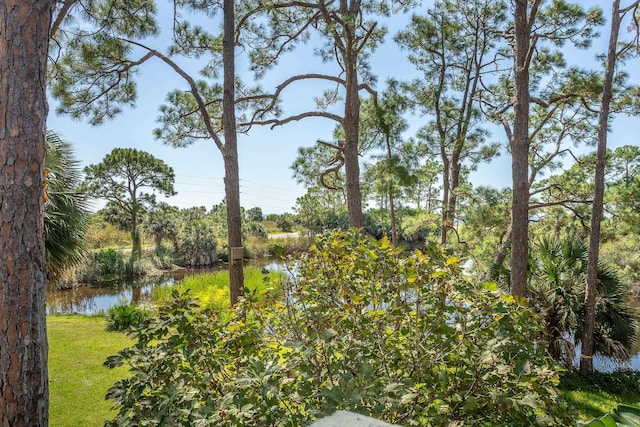 view of nature featuring a water view