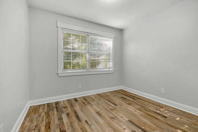 1115 N Woodward Ave, Tallahassee, FL 32304 - photo 24