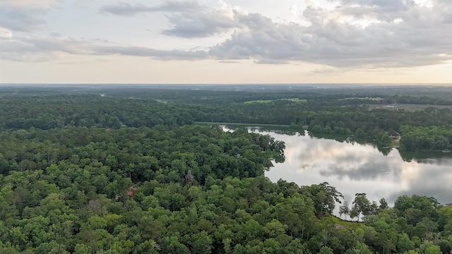 3200 Tallavana Trl, Havana, FL 32333 - aerial view of a forest and a large body of water