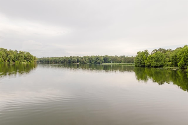 3200 Tallavana Trl, Havana, FL 32333 - water view with a forest