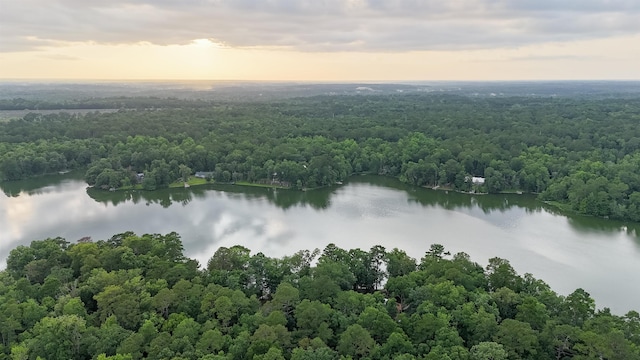 3200 Tallavana Trl, Havana, FL 32333 - drone / aerial view of a large body of water