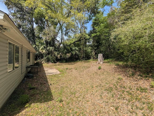 2218 Amelia Cir, Tallahassee, FL 32304 - view of yard