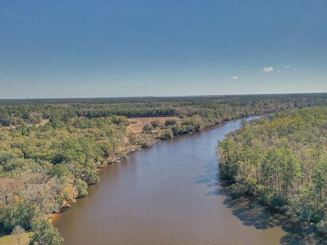 XX Mackery Wood Rd, Sopchoppy, FL 32358 - photo 5