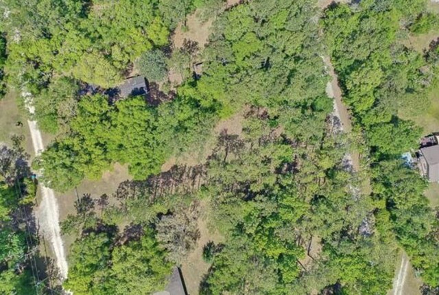XX Mackery Wood Rd, Sopchoppy, FL 32358 - photo 16