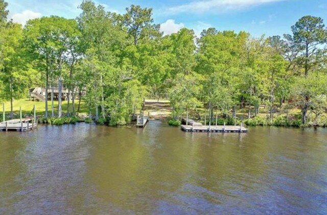 XX Mackery Wood Rd, Sopchoppy, FL 32358 - photo 7