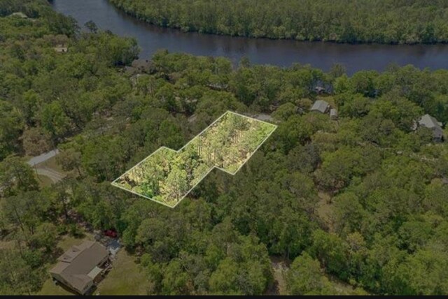 XX Mackery Wood Rd, Sopchoppy, FL 32358 - photo 13
