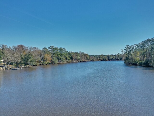 XX Mackery Wood Rd, Sopchoppy, FL 32358 - photo 6