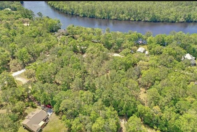 XX Mackery Wood Rd, Sopchoppy, FL 32358 - photo 14