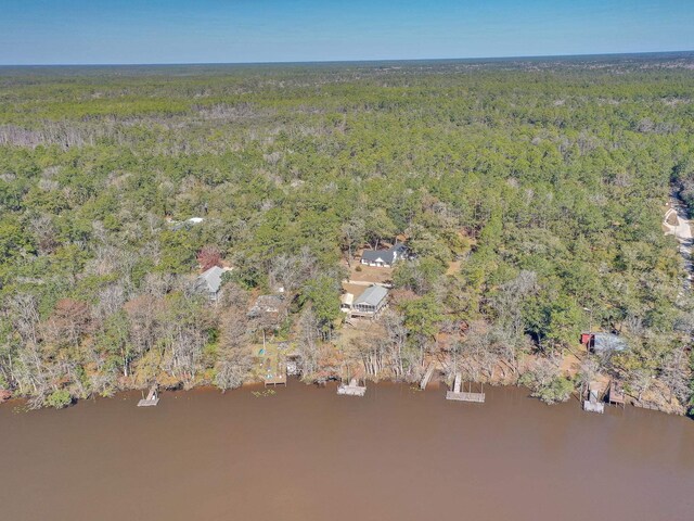 XX Mackery Wood Rd, Sopchoppy, FL 32358 - photo 4