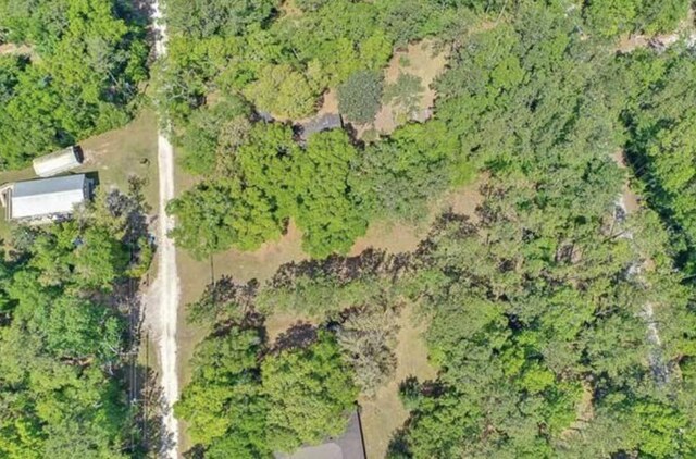 XX Mackery Wood Rd, Sopchoppy, FL 32358 - photo 10