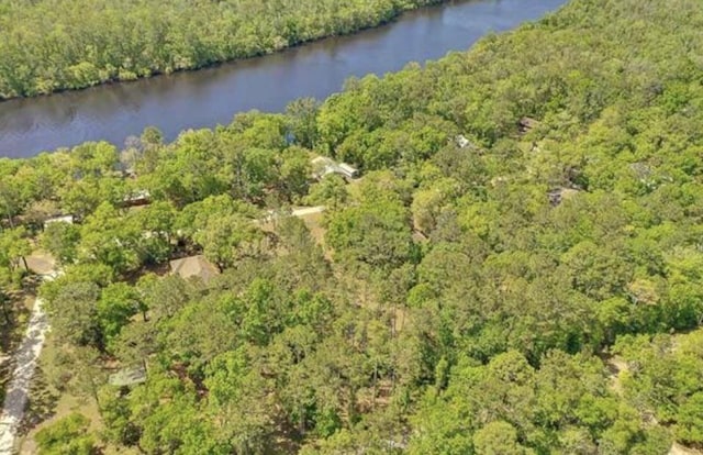 XX Mackery Wood Rd, Sopchoppy, FL 32358 - photo 12