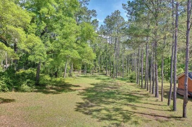 XX Mackery Wood Rd, Sopchoppy, FL 32358 - photo 15