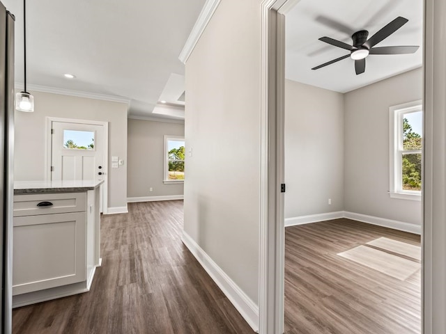 hall featuring dark hardwood / wood-style floors and ornamental molding