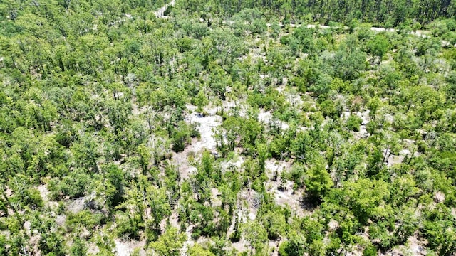 00 Clearwater Creek Ln, Perry, FL 32348