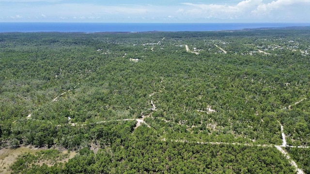 00 Clearwater Creek Ln, Perry, FL 32348
