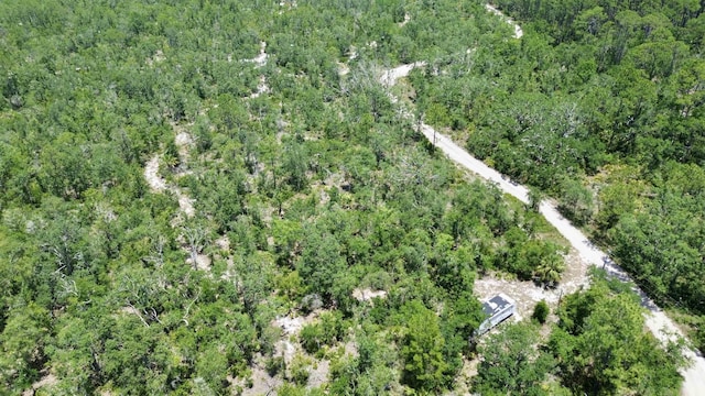 00 Clearwater Creek Ln, Perry, FL 32348