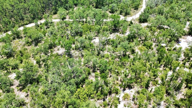 00 Clearwater Creek Ln, Perry, FL 32348