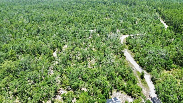 00 Clearwater Creek Ln, Perry, FL 32348