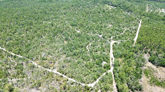 00 Clearwater Creek Ln, Perry, FL 32348