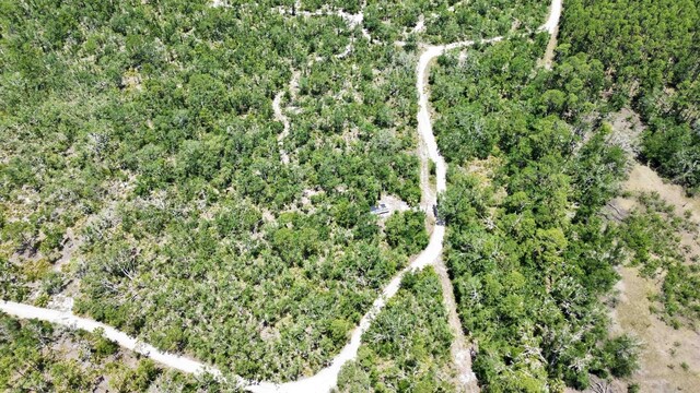 00 Clearwater Creek Ln, Perry, FL 32348