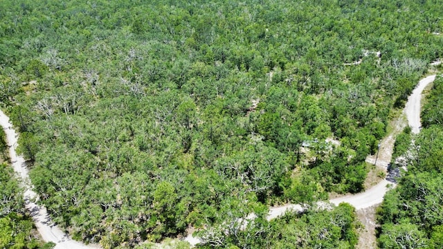00 Clearwater Creek Ln, Perry, FL 32348