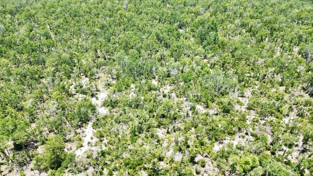 00 Clearwater Creek Ln, Perry, FL 32348