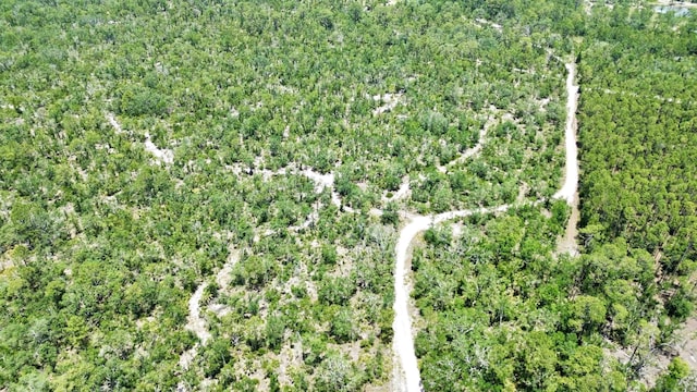 00 Clearwater Creek Ln, Perry, FL 32348