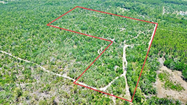 00 Clearwater Creek Ln, Perry, FL 32348