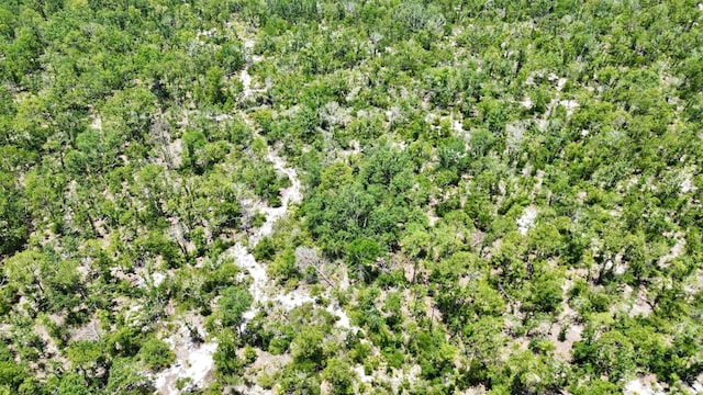 00 Clearwater Creek Ln, Perry, FL 32348