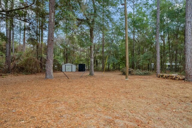 view of yard featuring a shed