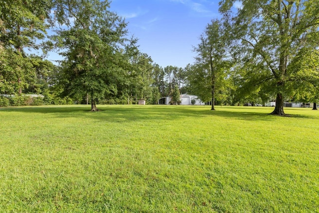 358 Pineview Rd, Monticello, FL 32344 - photo 29