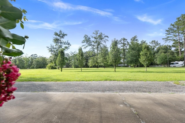 358 Pineview Rd, Monticello, FL 32344 - photo 28