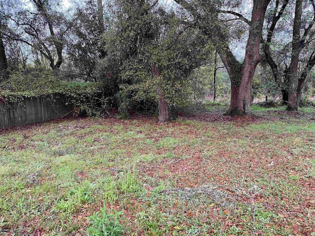 2414 Ramblewood Ct Unit B, Tallahassee, FL 32303 - photo 17