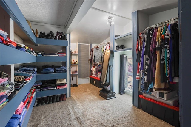 698 Liberty Rd, Quincy, FL 32351 - spacious closet with carpet floors