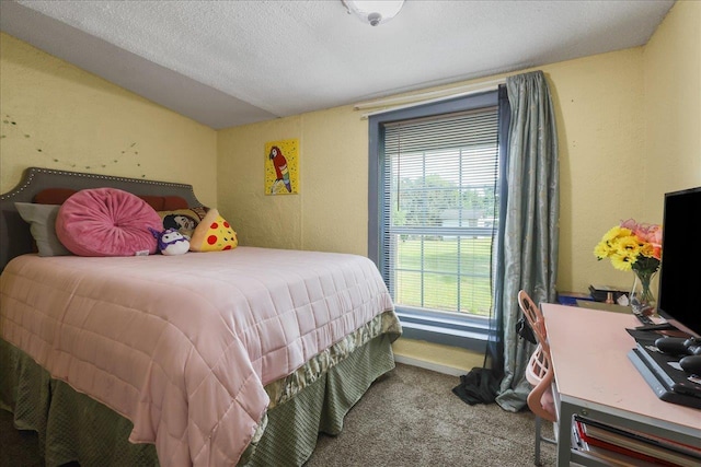 698 Liberty Rd, Quincy, FL 32351 - bedroom with carpet floors, multiple windows, a textured wall, vaulted ceiling, and a textured ceiling