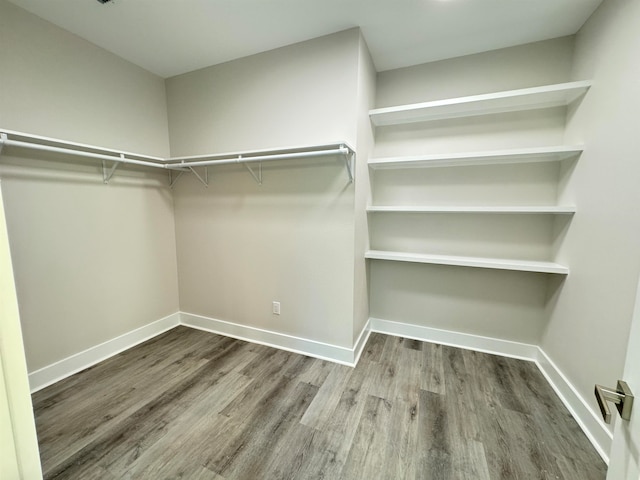 spacious closet with wood-type flooring