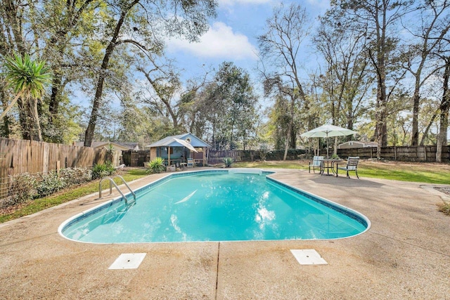 view of swimming pool with a patio area