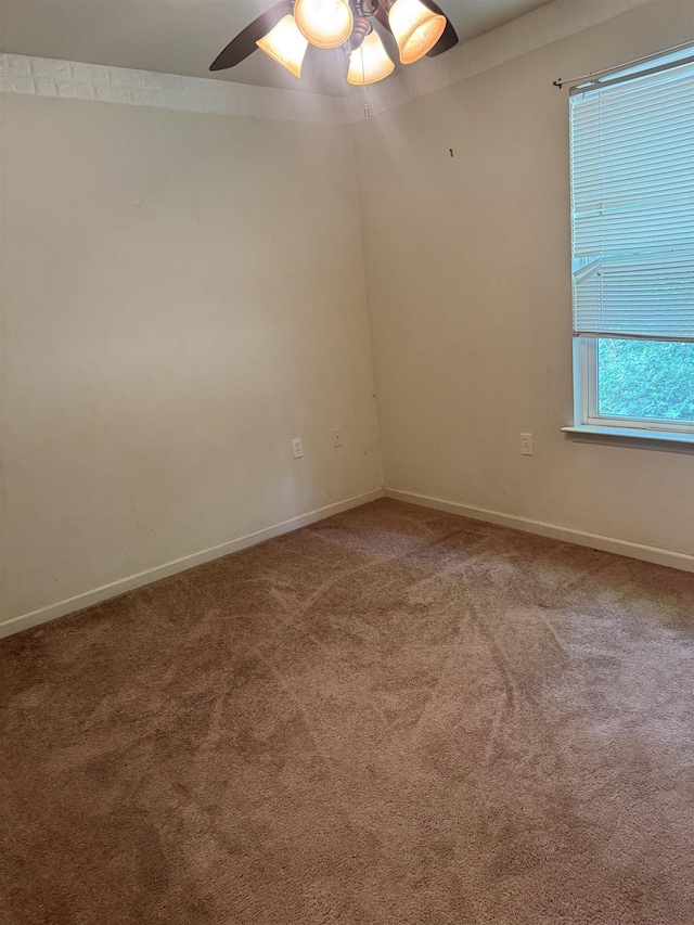 2507 Pennlyn Dr, Tallahassee, FL 32308 - photo 21