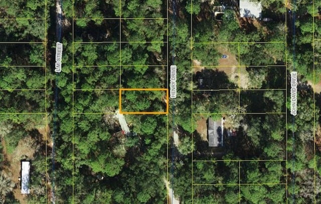 XX Henry Dr, Crawfordville FL, 32327 land for sale