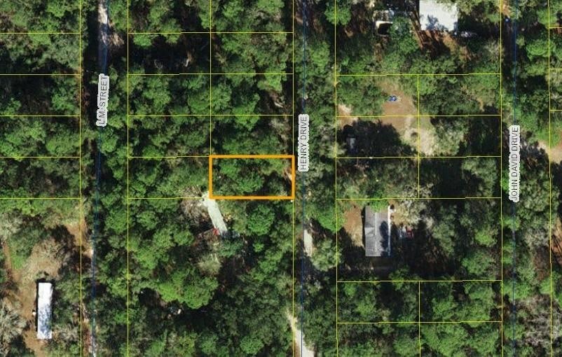 XX Henry Dr, Crawfordville, FL 32327 - photo 1