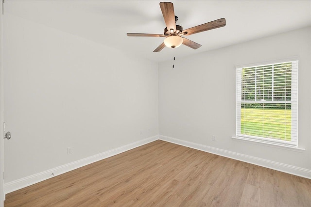 3928 Ardmore Ln, Tallahassee, FL 32308 - photo 45