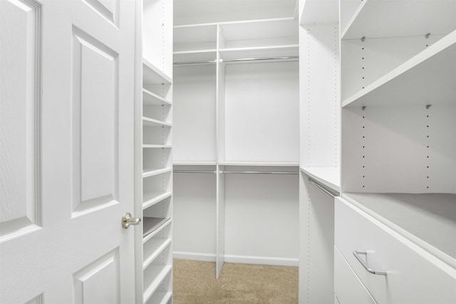 walk in closet with carpet