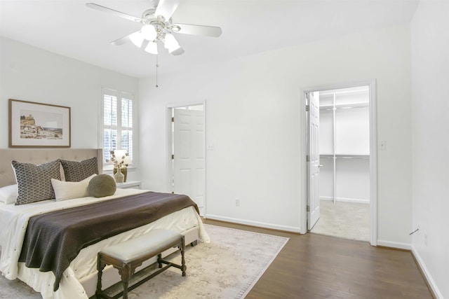 bedroom featuring a walk in closet, baseboards, wood finished floors, a closet, and a ceiling fan